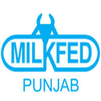Milkfed Punjab Recruitment